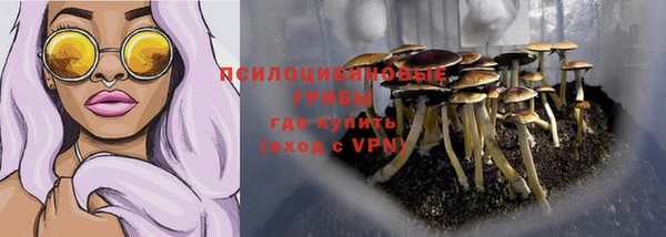 мескалин Гусев