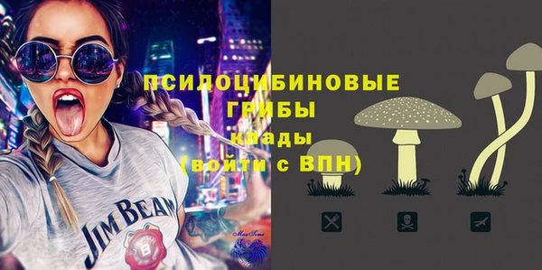 МДПВ Гусь-Хрустальный