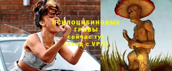 мескалин Гусев