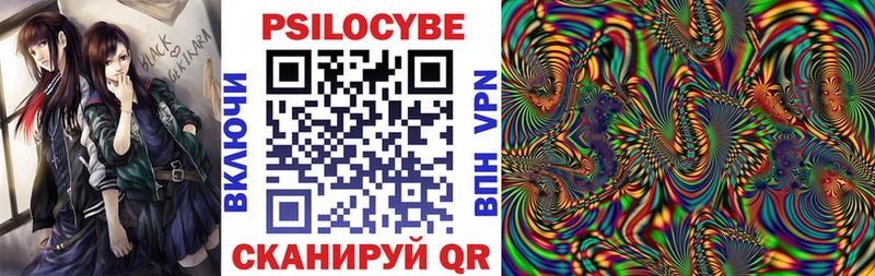 Купить закладки  Красный Сулин  Псилоцибиновые грибы Cubensis 