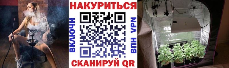 Купить где  Красный Сулин  Шишки марихуана Ganja 